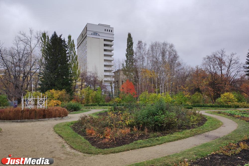 Лучшие осенние локации для фотосессий в Дендропарке на Первомайской ...