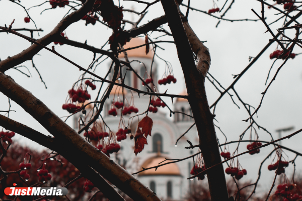  «Замечайте красоту поздней осени в городе». В Екатеринбурге 0 градусов - Фото 2