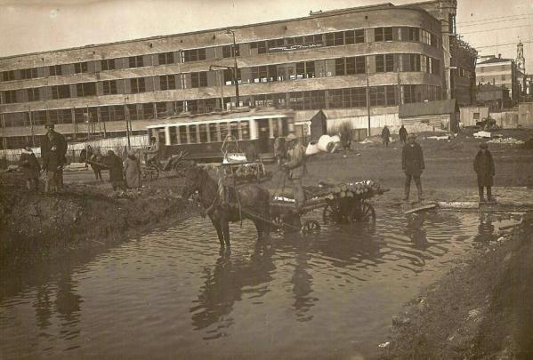 Появление в видениях благородного животного: к чему снится лошадь - Фото 3