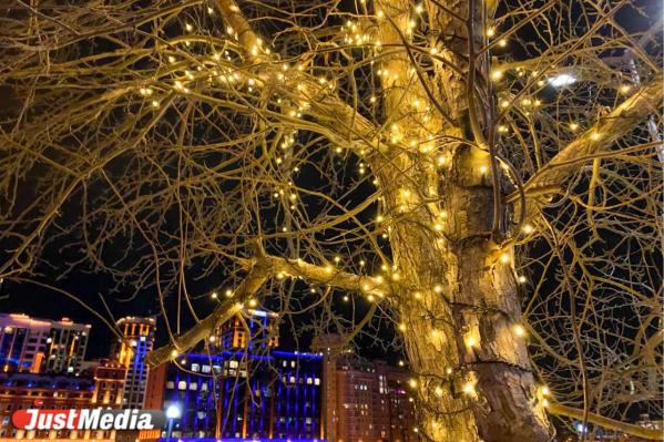 «Зимняя и праздничная красота заставляет улыбаться». В Екатеринбурге -11 градусов - Фото 3