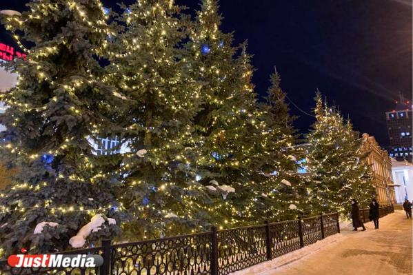 «Время ощущать новогодние мурашки». В Екатеринбурге -11 градусов - Фото 2