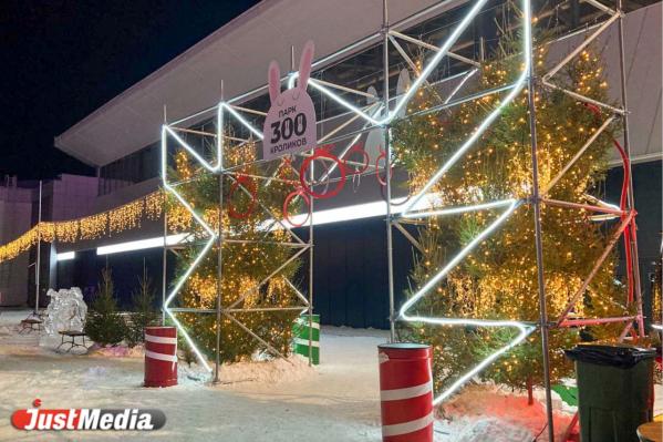 «Самое время подвести итоги года». В Екатеринбурге -12 градусов - Фото 5