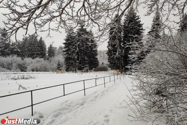 В Екатеринбурге Дендропарк на Мира превратился в сказочный лес - Фото 5