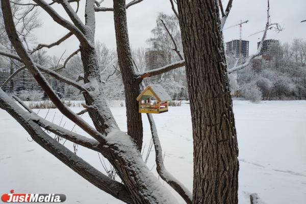В Екатеринбурге Дендропарк на Мира превратился в сказочный лес - Фото 7