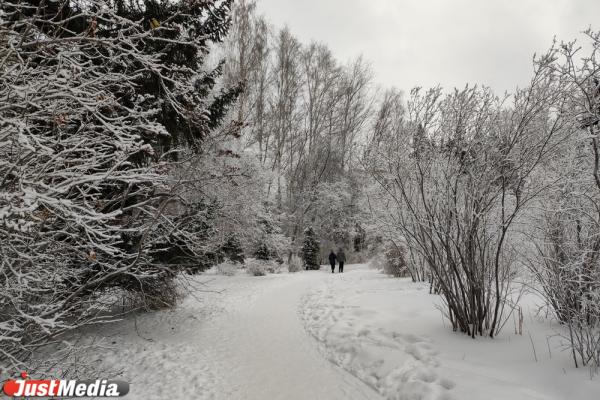 В Екатеринбурге Дендропарк на Мира превратился в сказочный лес - Фото 10