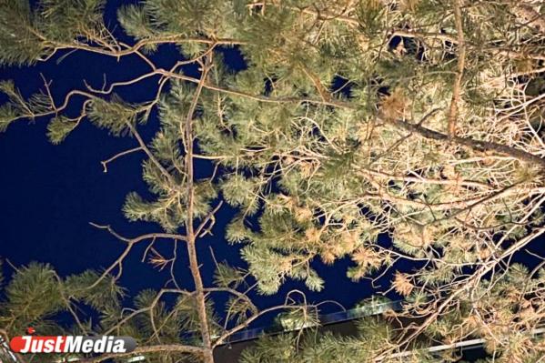 «Вечерами еще можно насладиться в городе яркими огоньками». В Екатеринбурге -22 градуса - Фото 2