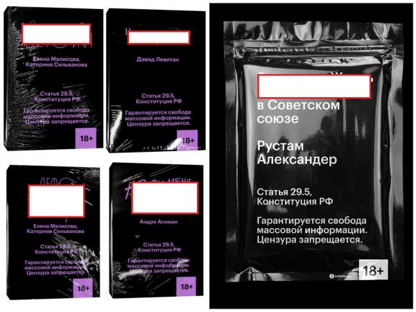 В России возбудили уголовное дело о пропаганде ЛГБТ в отношении книжного издательства - Фото 2