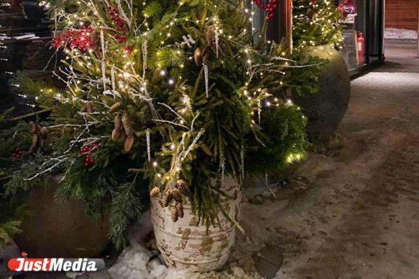 «Морозы потихоньку отступают». В Екатеринбурге -16 градусов - Фото 2