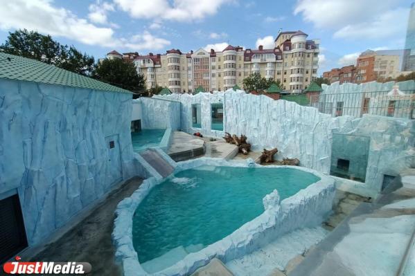 Екатеринбургский зоопарк к 300-летию города планирует отказаться от строительных плит и обновить фонтан - Фото 2