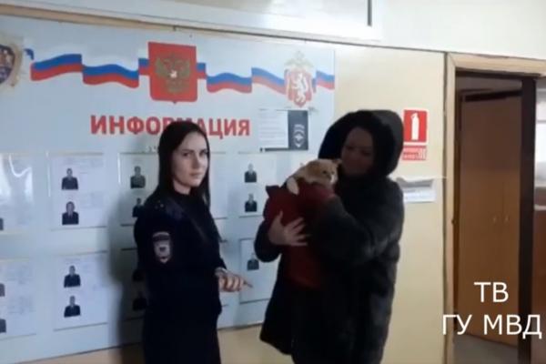 В Реже полицейские забрали у блогера кота, которого тот заставлял качать пресс и приседать - Фото 4
