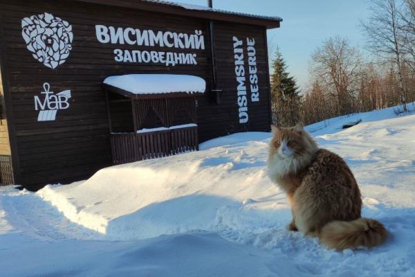 Маршрут «Веселые горы»: возможность увидеть первозданную уральскую тайгу - Фото 9