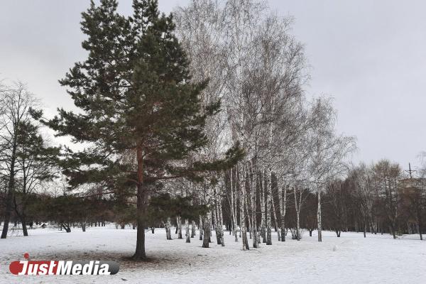 Продолжаем наслаждаться весной. В Екатеринбурге 0 градусов, облачно с прояснениями - Фото 2