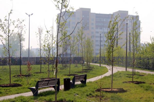 В парке культуры и отдыха Богдановича высадили около 400 деревьев и кустарников - Фото 4