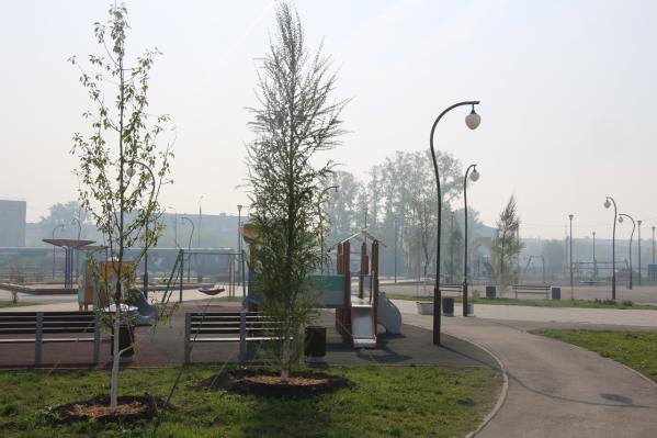 В парке культуры и отдыха Богдановича высадили около 400 деревьев и кустарников - Фото 6