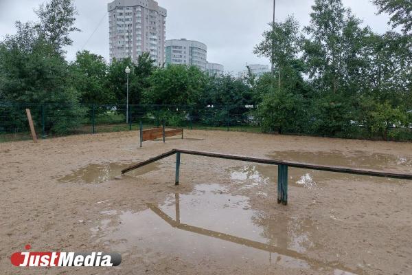 В парках Екатеринбурга появятся три современные площадки для выгула собак - Фото 2