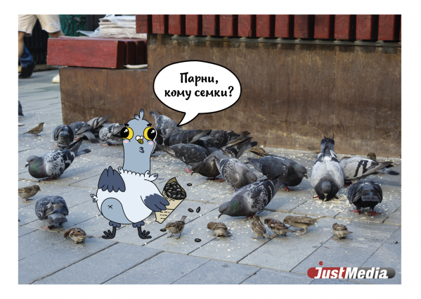 Креаторы из Екатеринбурга выпустили ко Дню города открытки с забавным голубем в узнаваемых локациях - Фото 6