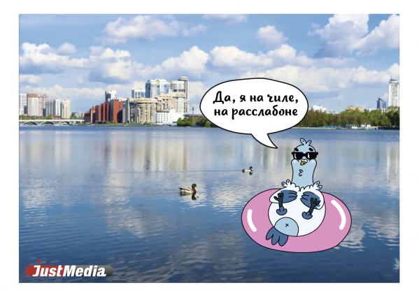 Креаторы из Екатеринбурга выпустили ко Дню города открытки с забавным голубем в узнаваемых локациях - Фото 14