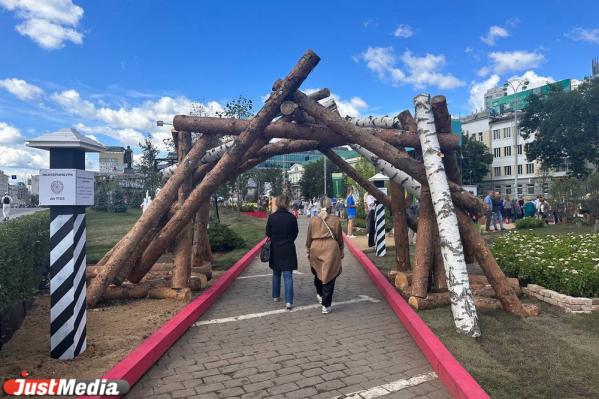 На главной площади Екатеринбурга выросло более 40 деревьев и 6600 цветов - Фото 2