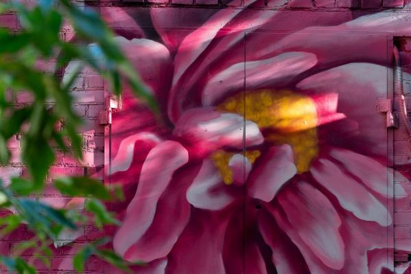 Художница STENOGRAFFIA Мария Ионова подарила бабушке граффити-пионы - Фото 2