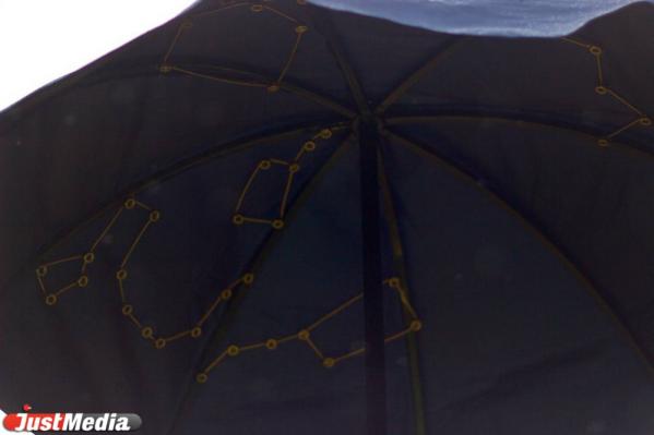 В природном парке «Оленьи ручьи» запустили новую тропу, посвященную творчеству Владислава Крапивина. - Фото 5