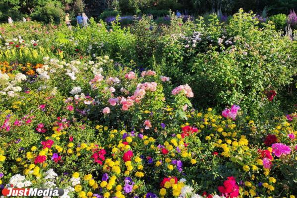 К чему снятся цветы? - Фото 3