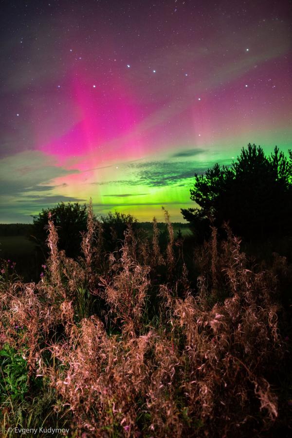 Небо над Свердловской областью озарилось северным сиянием - Фото 2