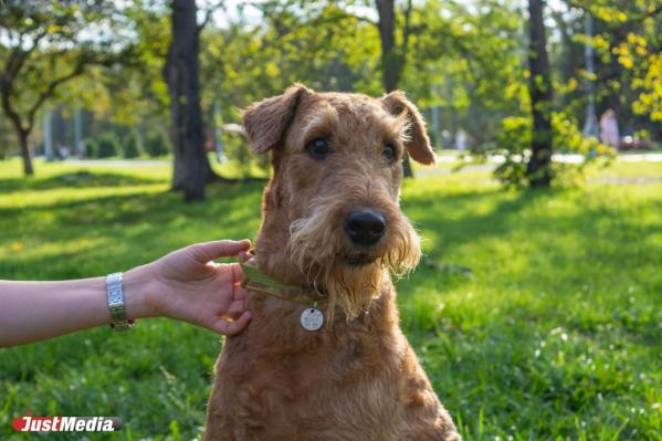 Оксана Осипенко, иммунолог: «Осенью легко быть счастливым». В Екатеринбурге + 16 градусов - Фото 5