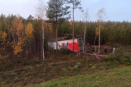 Лось спровоцировал массовое ДТП на Челябинском тракте - Фото 2