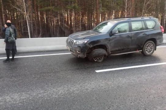Лось спровоцировал массовое ДТП на Челябинском тракте - Фото 3