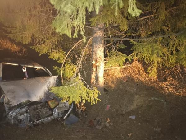 В Волчанске пьяный водитель ВАЗа улетел в кювет и убил пассажирку - Фото 3
