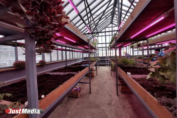 «Маленькие шаги, которые меняют город». Власти Екатеринбурга показали проекты из программы «5 шагов для городов» - Фото 6