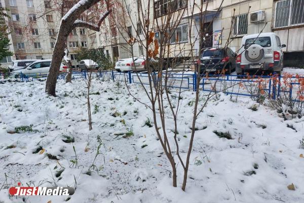 «Маленькие шаги, которые меняют город». Власти Екатеринбурга показали проекты из программы «5 шагов для городов» - Фото 7