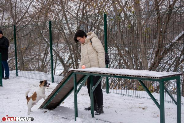 В Екатеринбурге нелегальную стоянку превратили в площадку для выгула собак - Фото 5