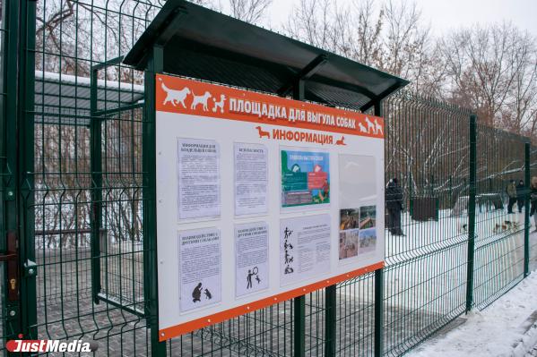 В Екатеринбурге нелегальную стоянку превратили в площадку для выгула собак - Фото 2