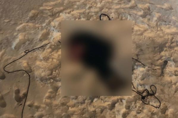 В Челябинске Дед Мороз сорвался с 24-го этажа и разбился насмерть - Фото 2
