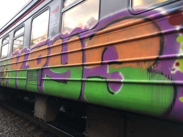  В Екатеринбурге задержали местного жителя, который несколько лет разрисовывал электрички - Фото 3