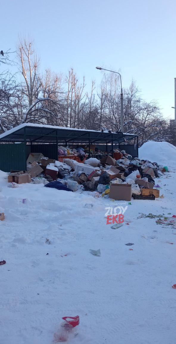 Жители Екатеринбурга жалуются на переполненные после праздников помойки - Фото 3