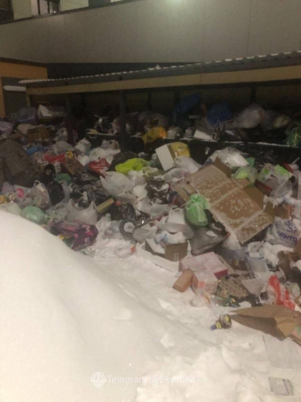 Жители Екатеринбурга жалуются на переполненные после праздников помойки - Фото 5