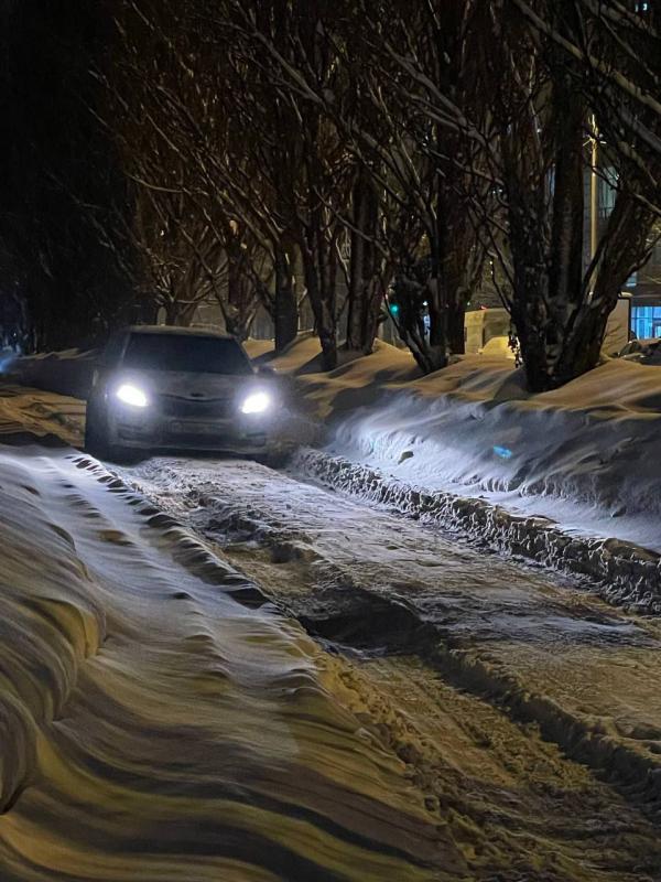 Жители Екатеринбурга массово жалуются на неубранные дворы - Фото 15