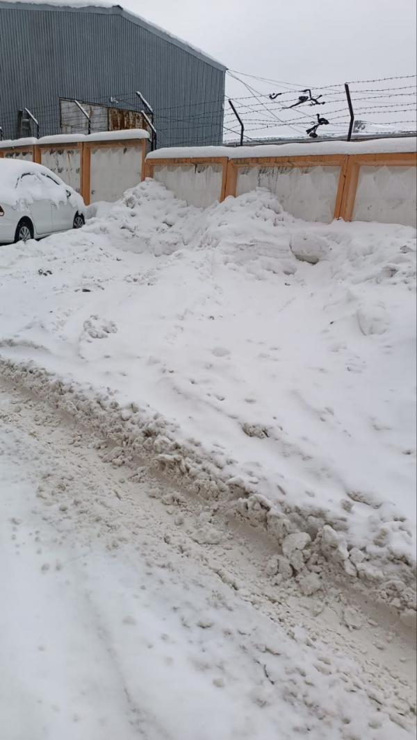 Жители Екатеринбурга массово жалуются на неубранные дворы - Фото 17