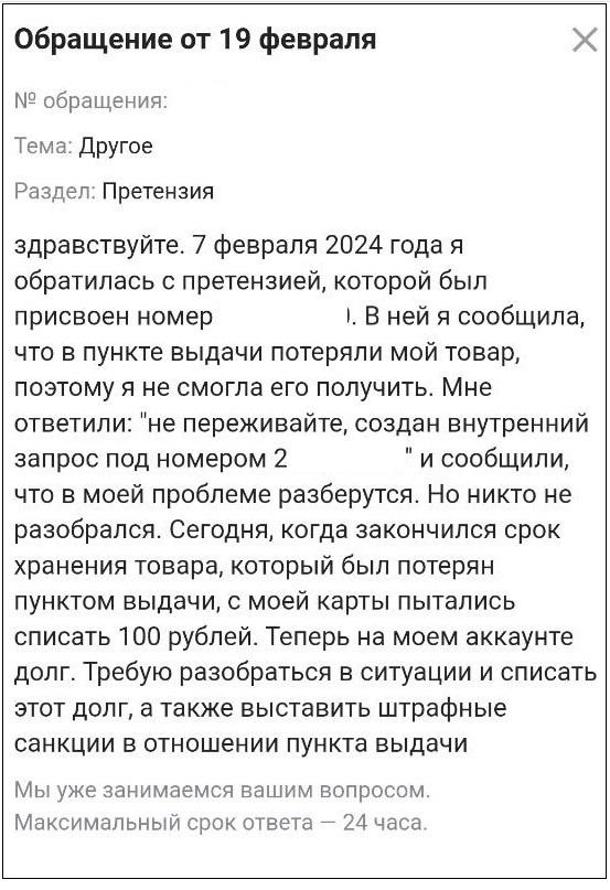 Екатеринбурженка утверждает, что сотрудники Wildberries не нашли заказ и теперь у нее хотят списать деньги за доставку - Фото 7