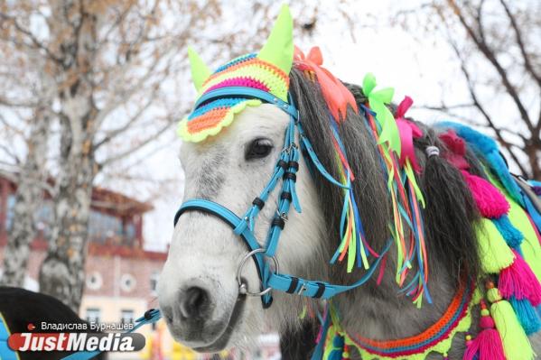 Блины, гулянья и сжигание чучела: в России начали отмечать Масленицу или Сырную седмицу - Фото 7