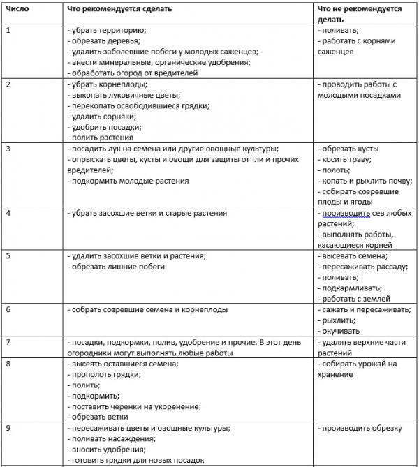 Лунный посевной календарь на июль - Фото 2