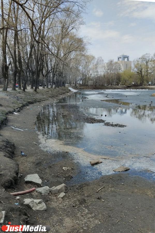 В Харитоновском парке сильно обмелел пруд - Фото 2