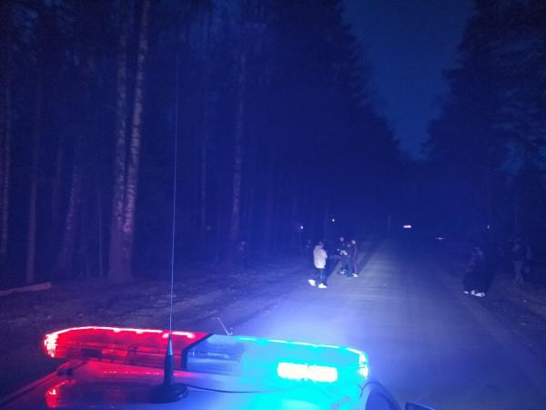 В Свердловской области пьяный водитель иномарки насмерть сбил 13-летнюю девочку и собаку - Фото 4