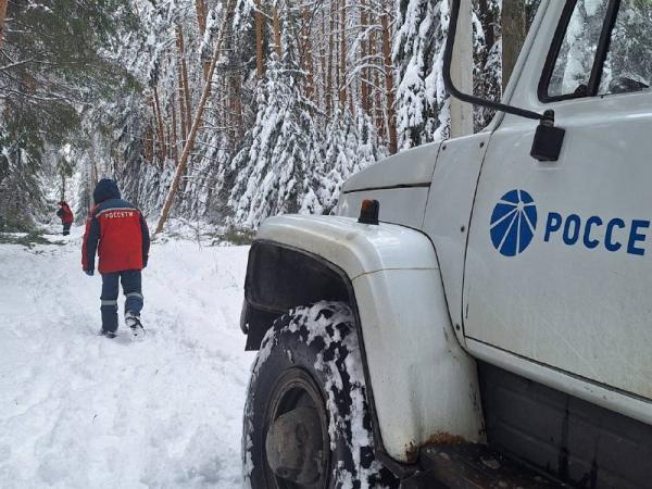 Свердловские энергетики сняли с линий электропередачи более 1,5 тысяч деревьев - Фото 2