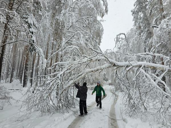 Вернуть свет в оставшиеся населенные пункты Свердловской области планируют до конца дня - Фото 7