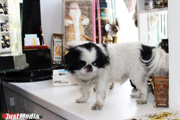 «Моя коллекция стоит дорого и не в рублях». Екатеринбурженка Анна Холод владеет винтажным бутиком и дрифтует на старых авто - Фото 11