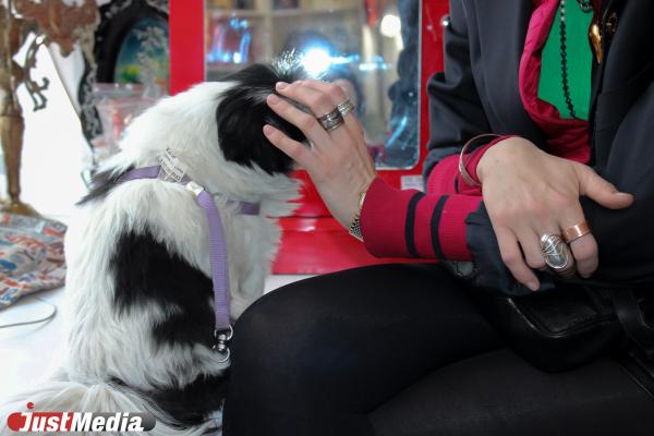 «Моя коллекция стоит дорого и не в рублях». Екатеринбурженка Анна Холод владеет винтажным бутиком и дрифтует на старых авто - Фото 19