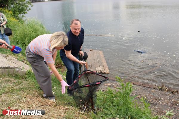 В Екатеринбурге началась подготовка новой площадки «Атмофеста». Публикуем ее план - Фото 4